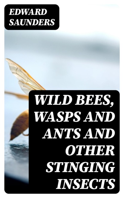 Wild Bees, Wasps and Ants and Other Stinging Insects