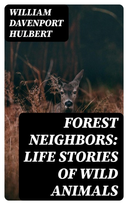 Forest Neighbors: Life Stories of Wild Animals