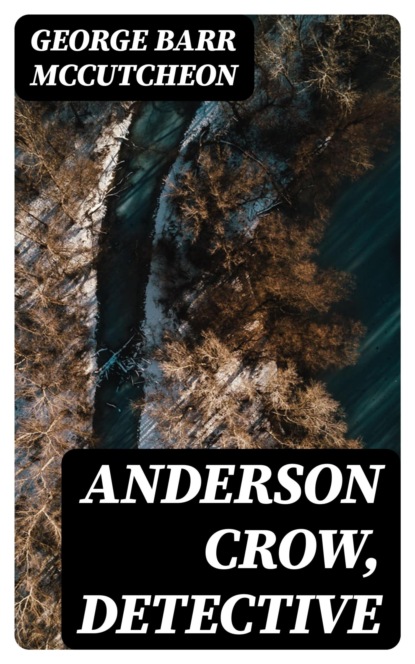 Anderson Crow, Detective
