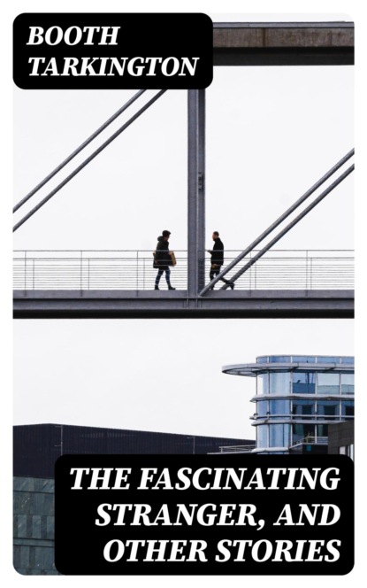 The Fascinating Stranger, and Other Stories