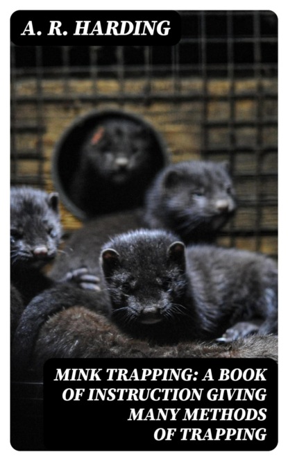Mink Trapping: A Book of Instruction Giving Many Methods of Trapping