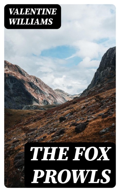 The Fox Prowls