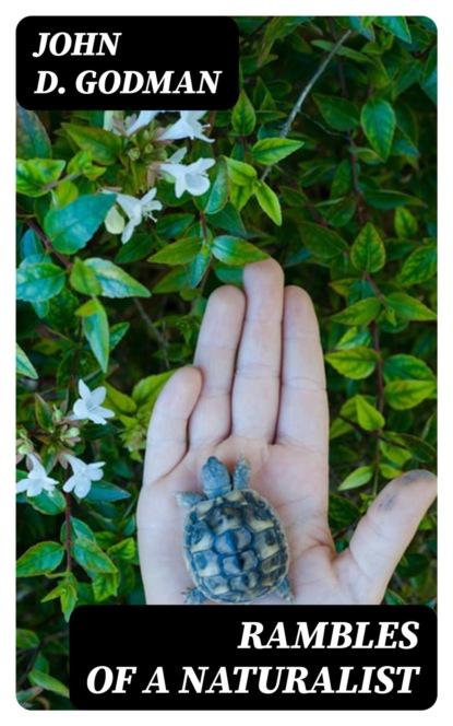 Rambles of a Naturalist