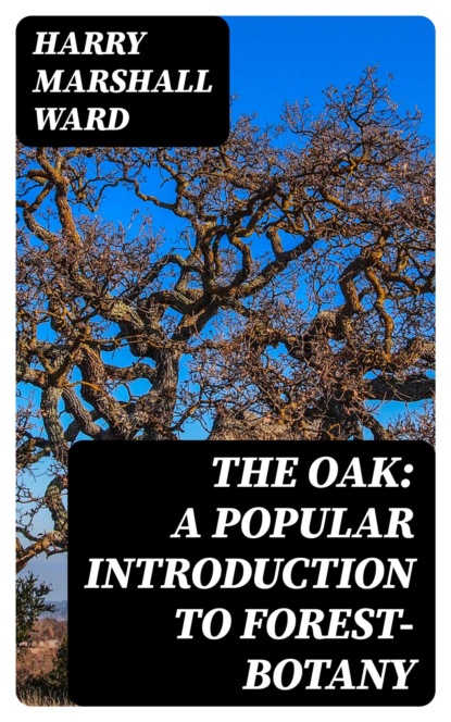 The Oak: A Popular Introduction to Forest-botany