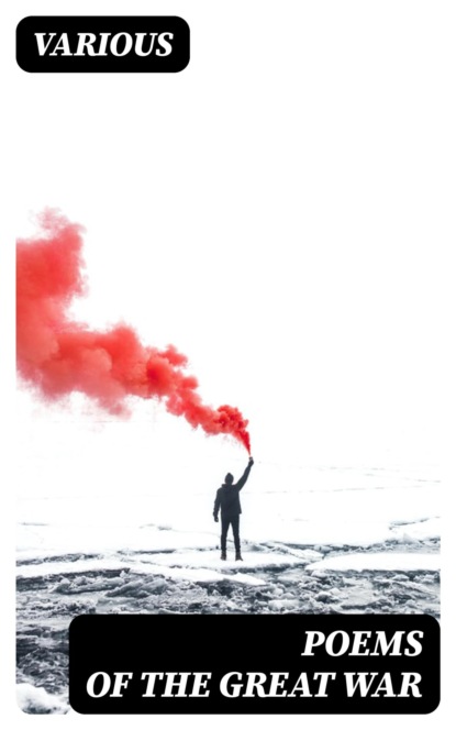 Poems of the Great War