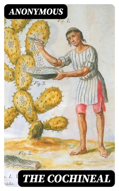 The Cochineal