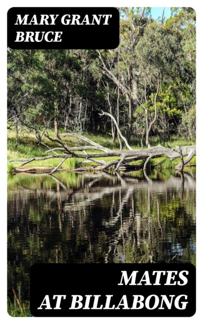 Mates at Billabong