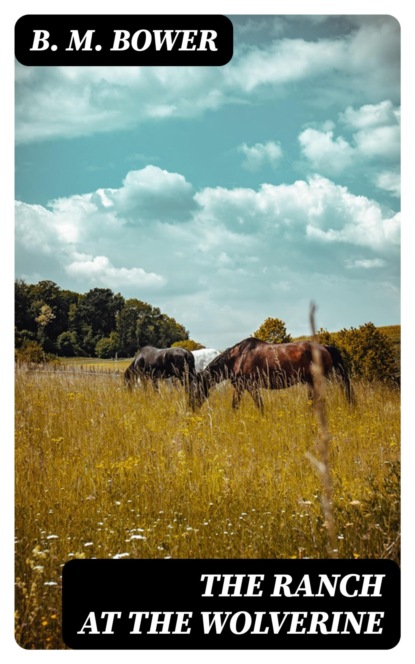 The Ranch at the Wolverine