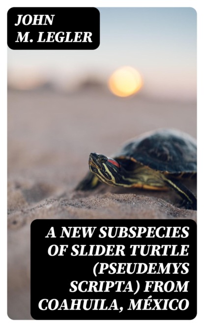 A New Subspecies of Slider Turtle (Pseudemys scripta) from Coahuila, México