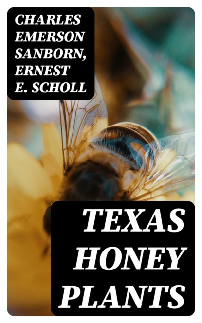 Texas Honey Plants