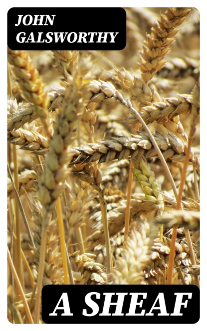 A Sheaf
