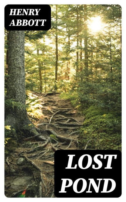 Lost Pond