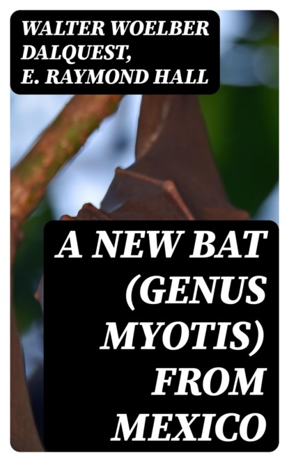 A New Bat (Genus Myotis) From Mexico