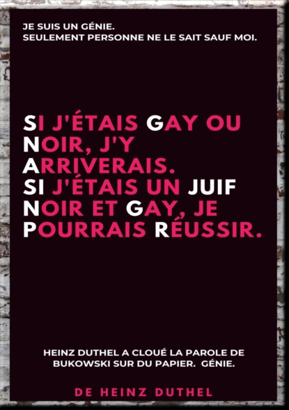 SI J'ÉTAIS GAY OU NOIR, J'Y ARRIVERAIS.