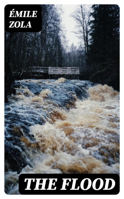 The Flood