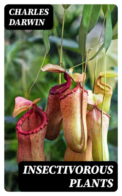 Insectivorous Plants