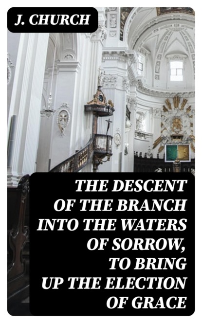 The Descent of the Branch into the Waters of Sorrow, to Bring up the Election of Grace