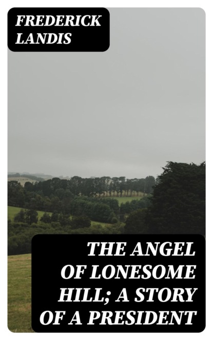 The Angel of Lonesome Hill; A Story of a President