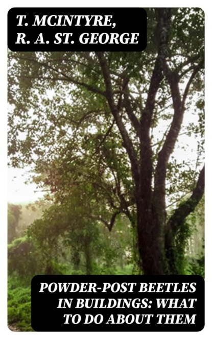 Powder-Post Beetles in Buildings: What to Do About Them