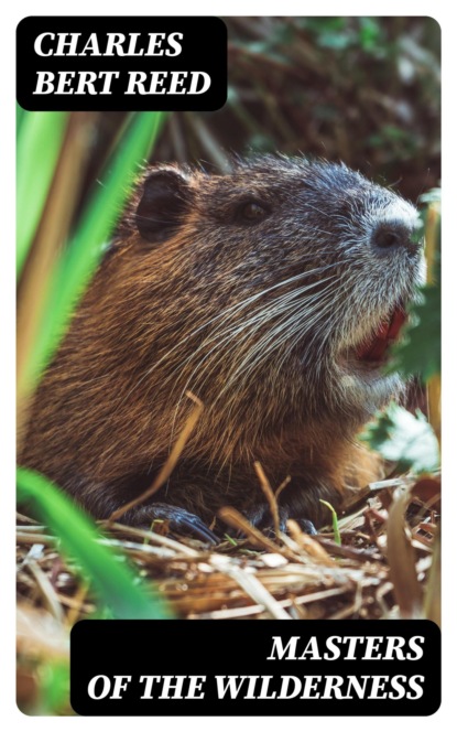 Masters of the Wilderness