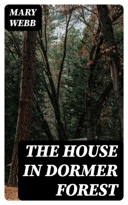 The House in Dormer Forest