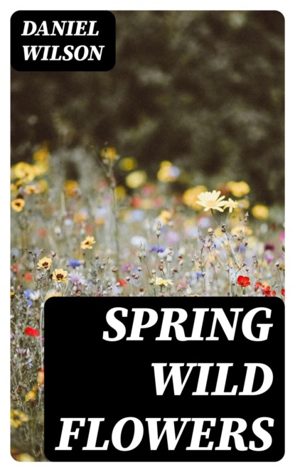 Spring Wild Flowers
