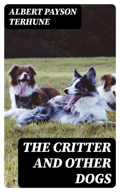 The Critter and Other Dogs
