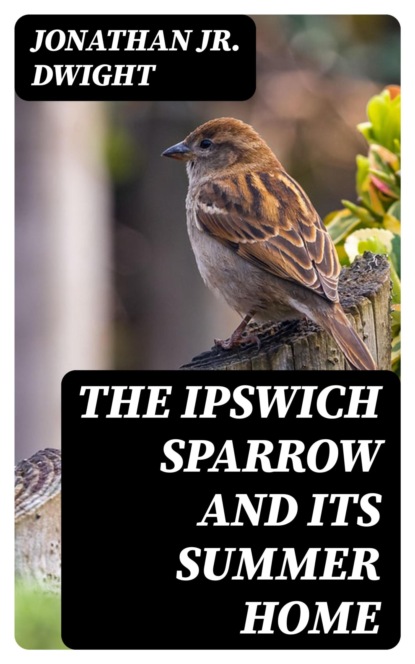 The Ipswich Sparrow and Its Summer Home