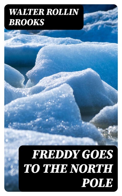 Freddy Goes to the North Pole