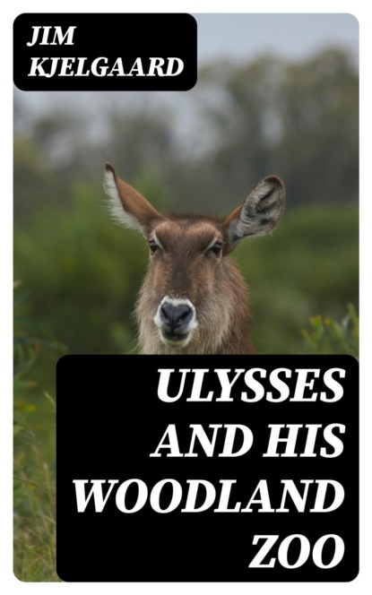 Ulysses and His Woodland Zoo