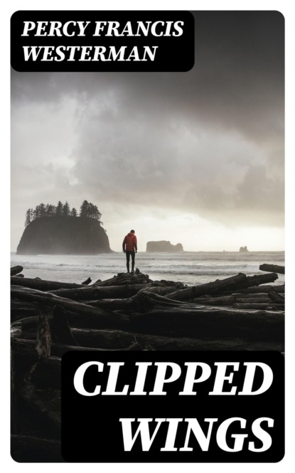 Clipped Wings