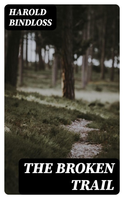 The Broken Trail