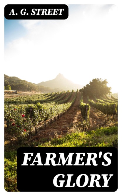Farmer's Glory