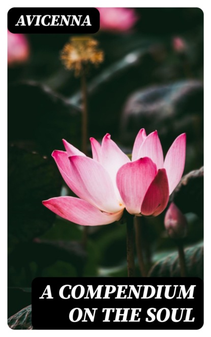 A Compendium on the Soul