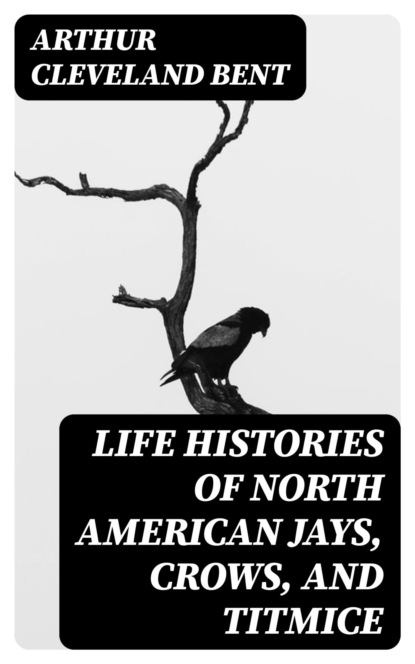 Life Histories of North American Jays, Crows, and Titmice