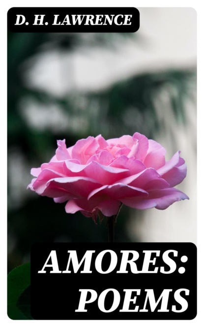 Amores: Poems
