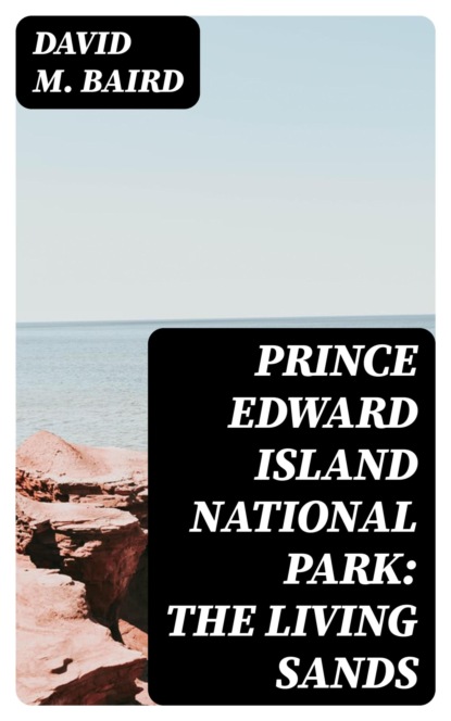 Prince Edward Island National Park: The Living Sands