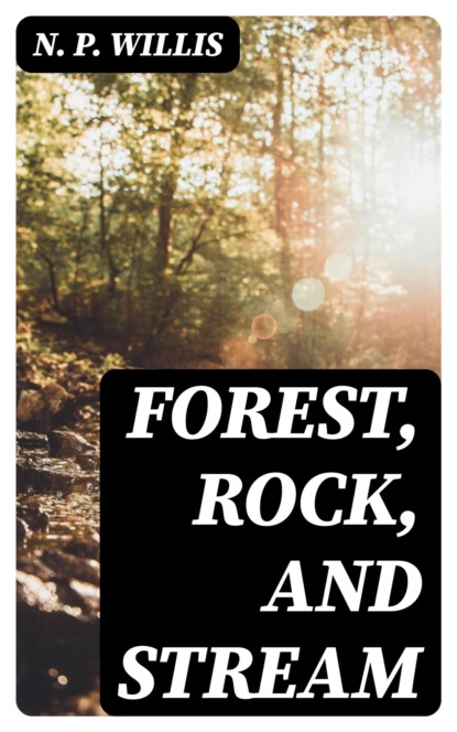 Forest, Rock, and Stream