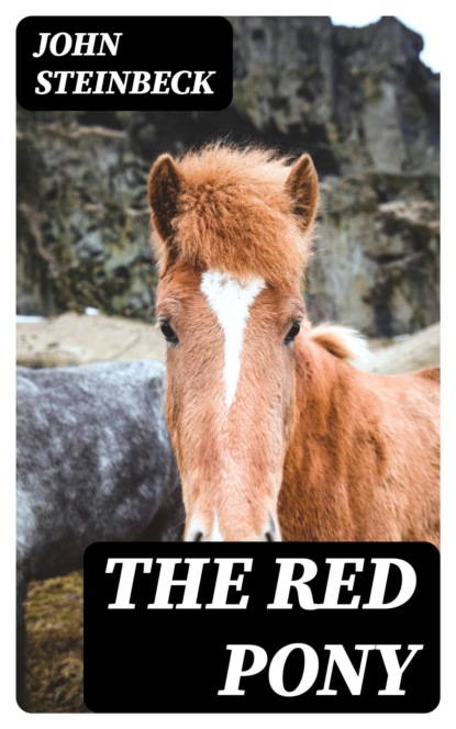 The Red Pony