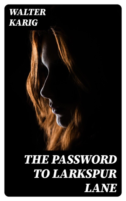 The Password to Larkspur Lane