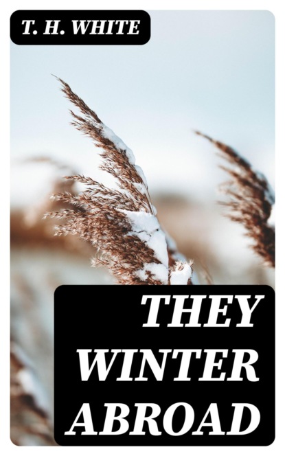 They Winter Abroad