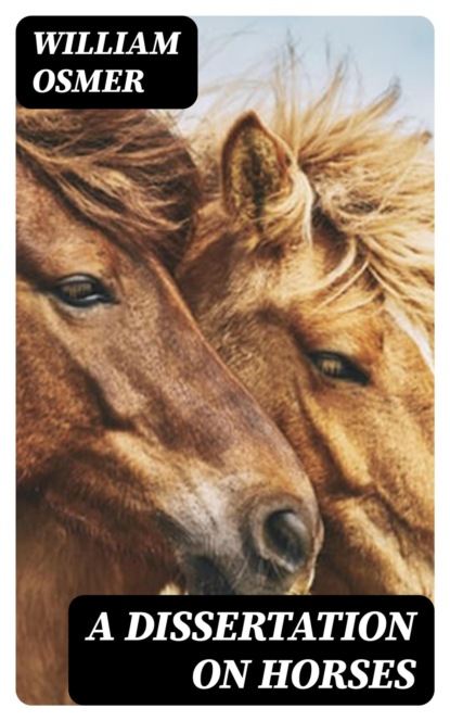 A Dissertation on Horses