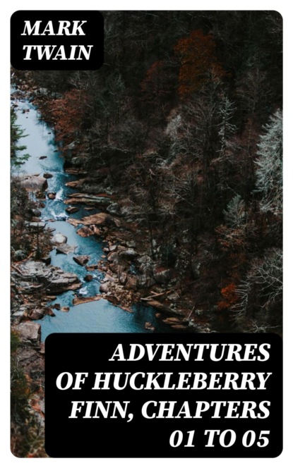 Adventures of Huckleberry Finn, Chapters 01 to 05