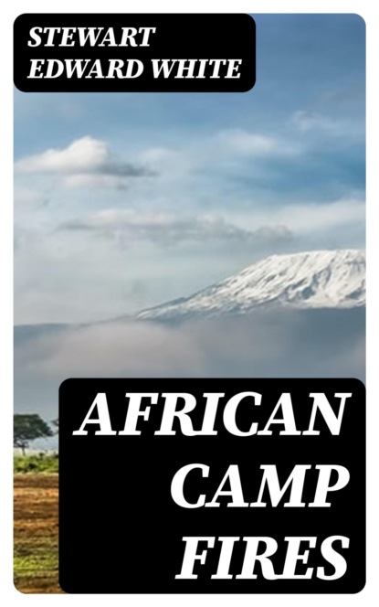 African Camp Fires