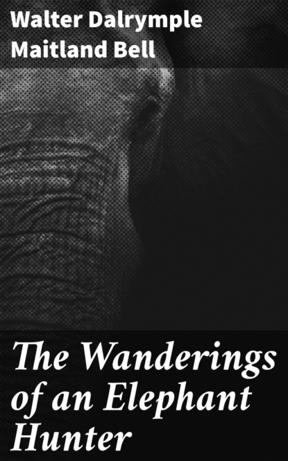 The Wanderings of an Elephant Hunter