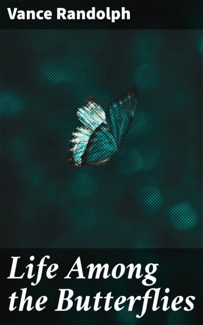 Life Among the Butterflies