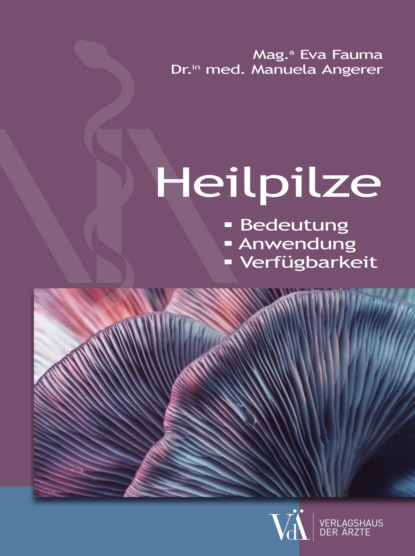 Heilpilze