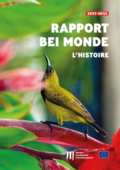 Rapport « BEI Monde – L'histoire »