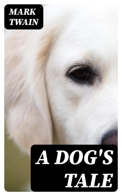 A Dog's Tale