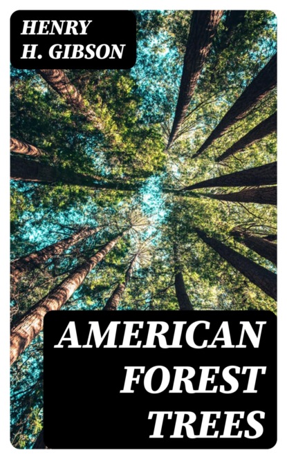 American Forest Trees
